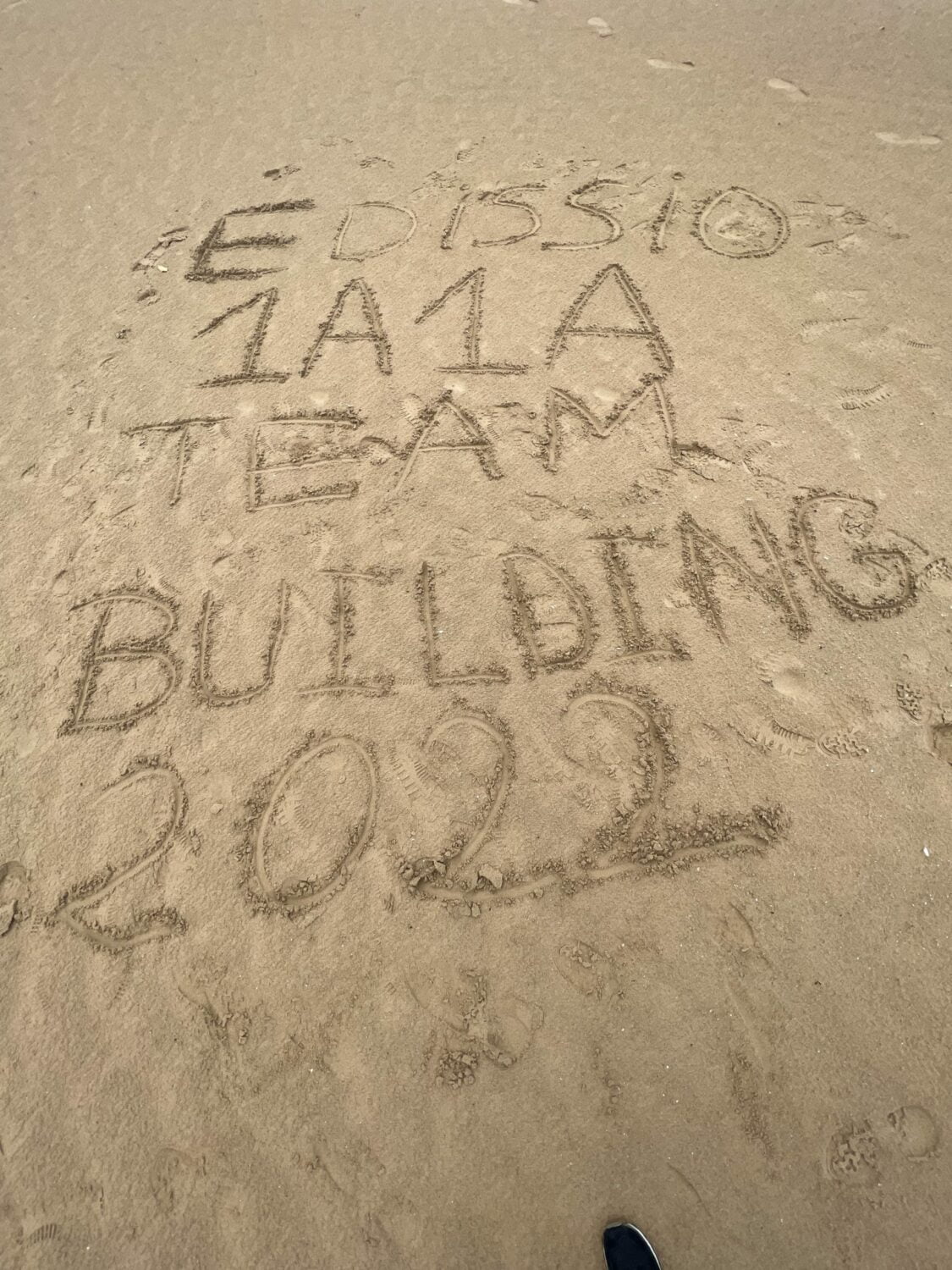 Team building du 27 septembre 2022 : on plante des arbres avec 1Action1Arbre !